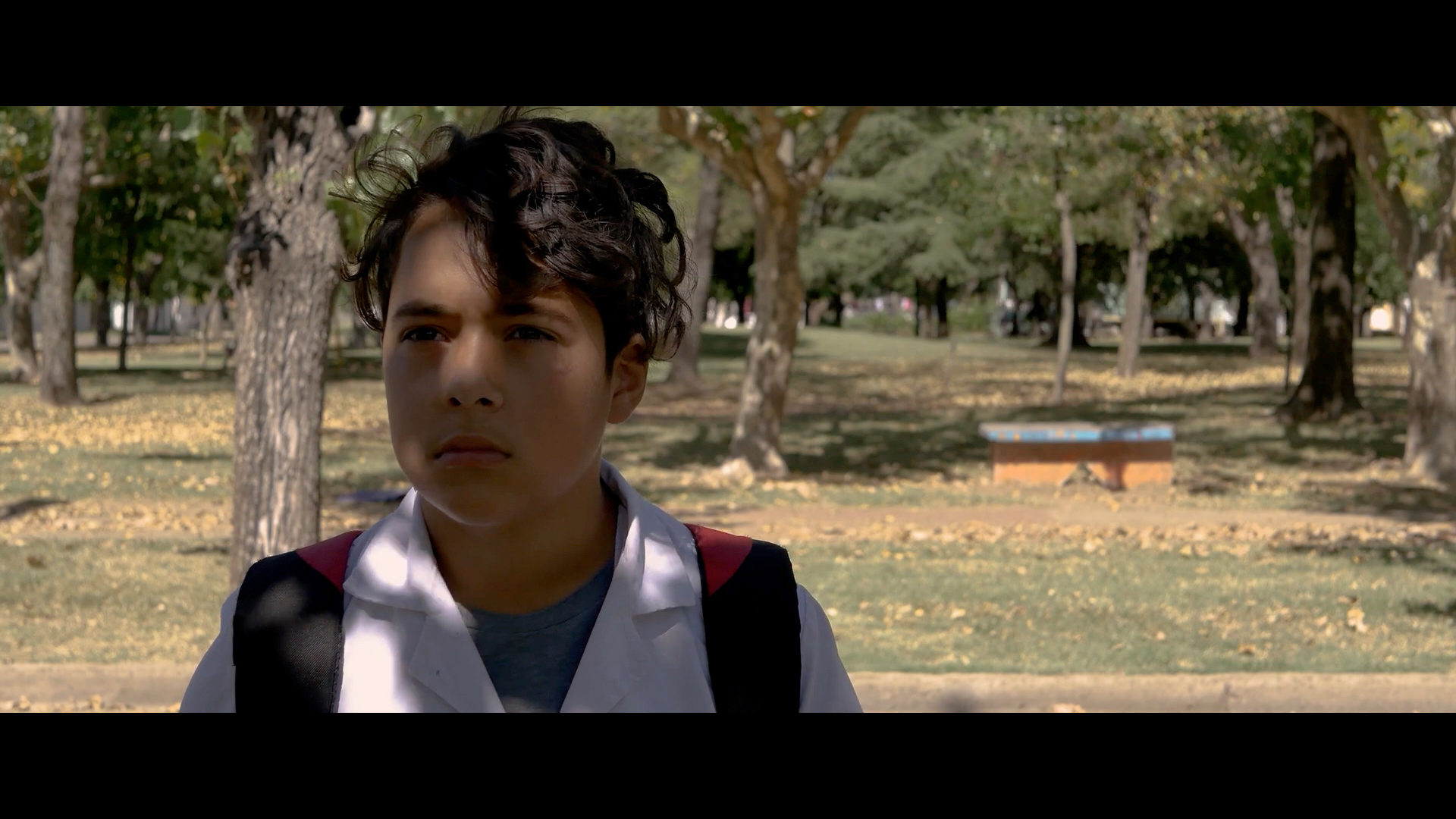 La Sutileza de las Formas — still 5